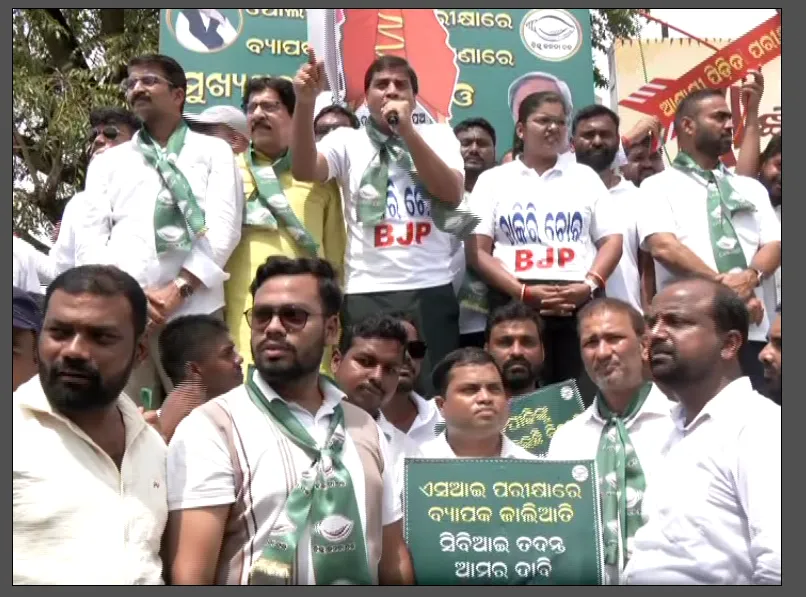 bjd
