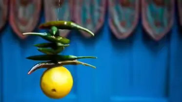 Lemon-Chilly Theory