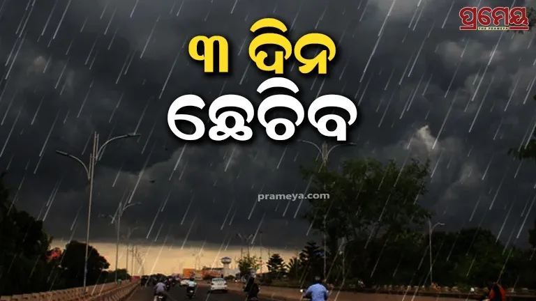 rain 
