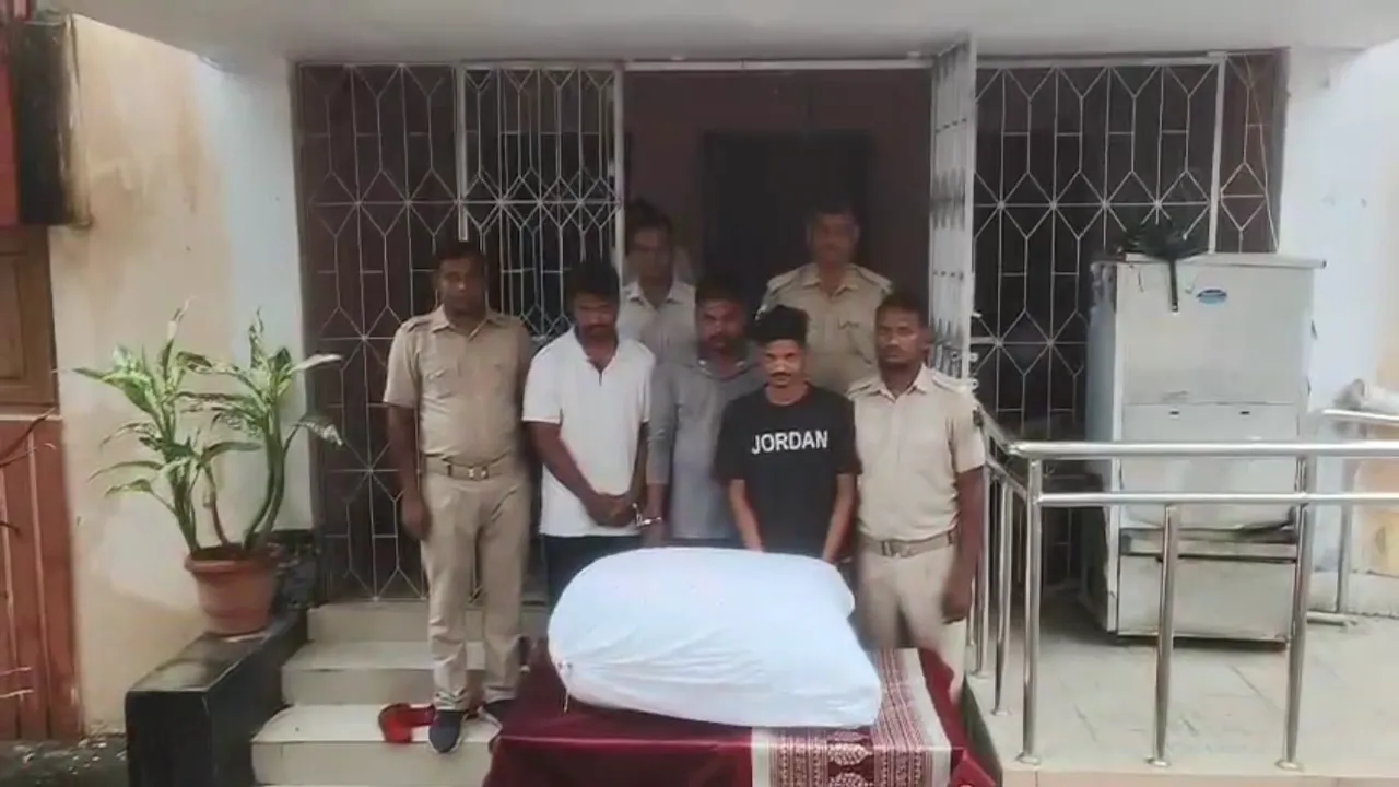 30 kg cannabis seized 3 arrested in athamallik 