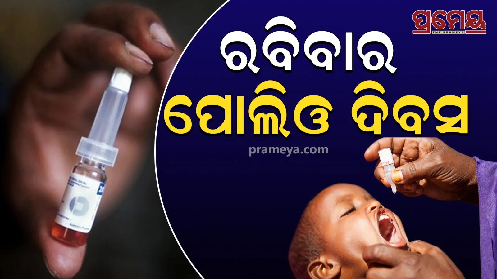 polio divas