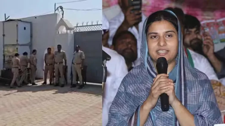  SP MP Iqra Hasan