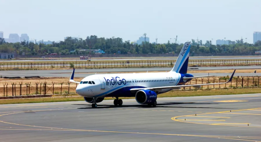 IndiGo 
