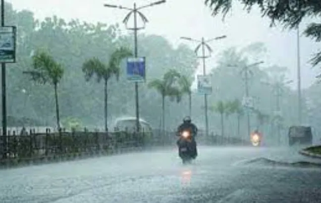rain