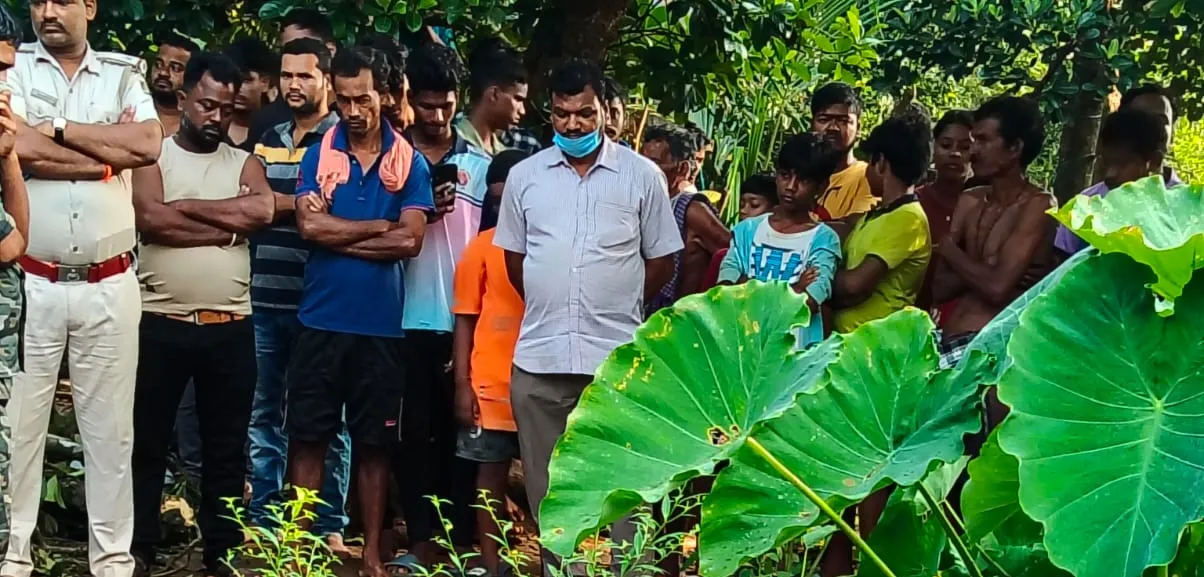 man died in elephant attack