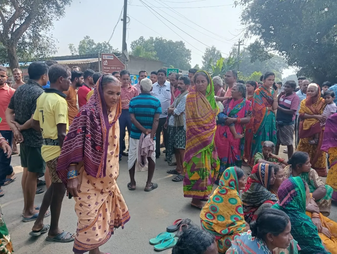 farmer died in elephant attack