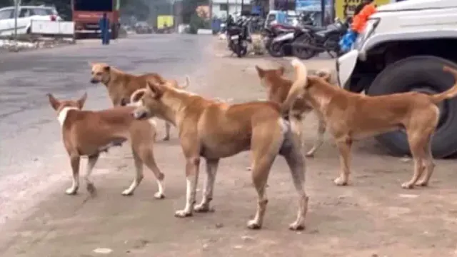 bbsr