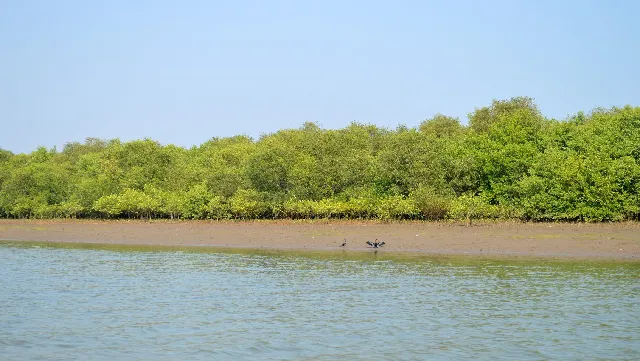 Drowning Death, Body Rescue in Devi River 