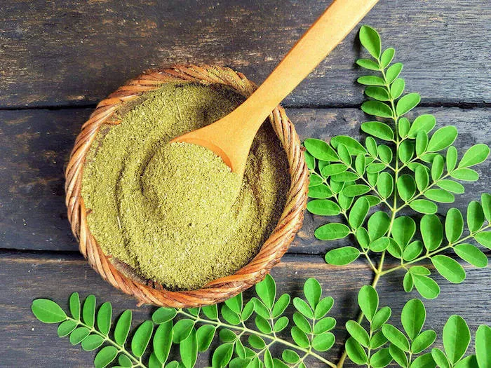 sajna leaf powder