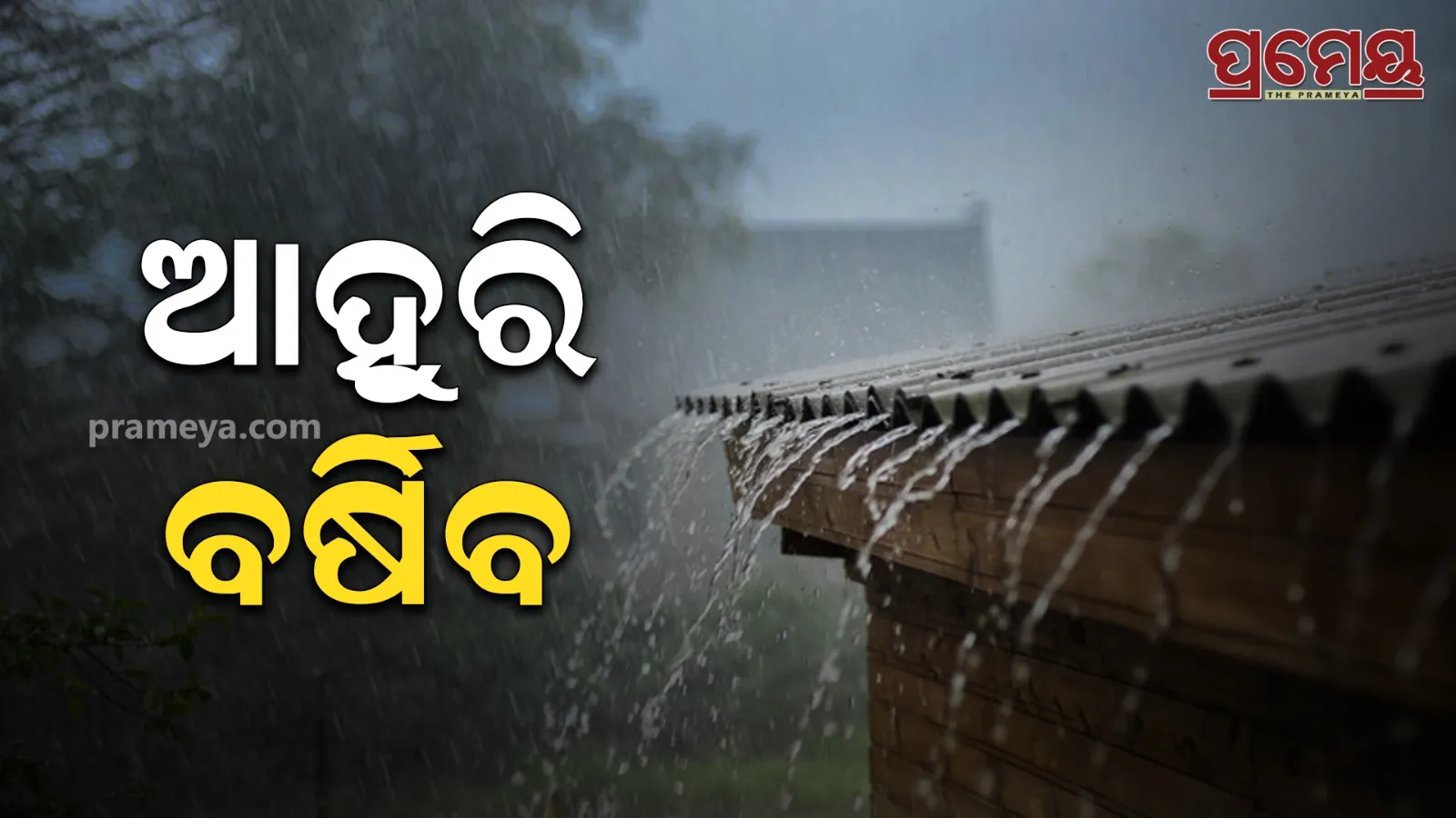 rain