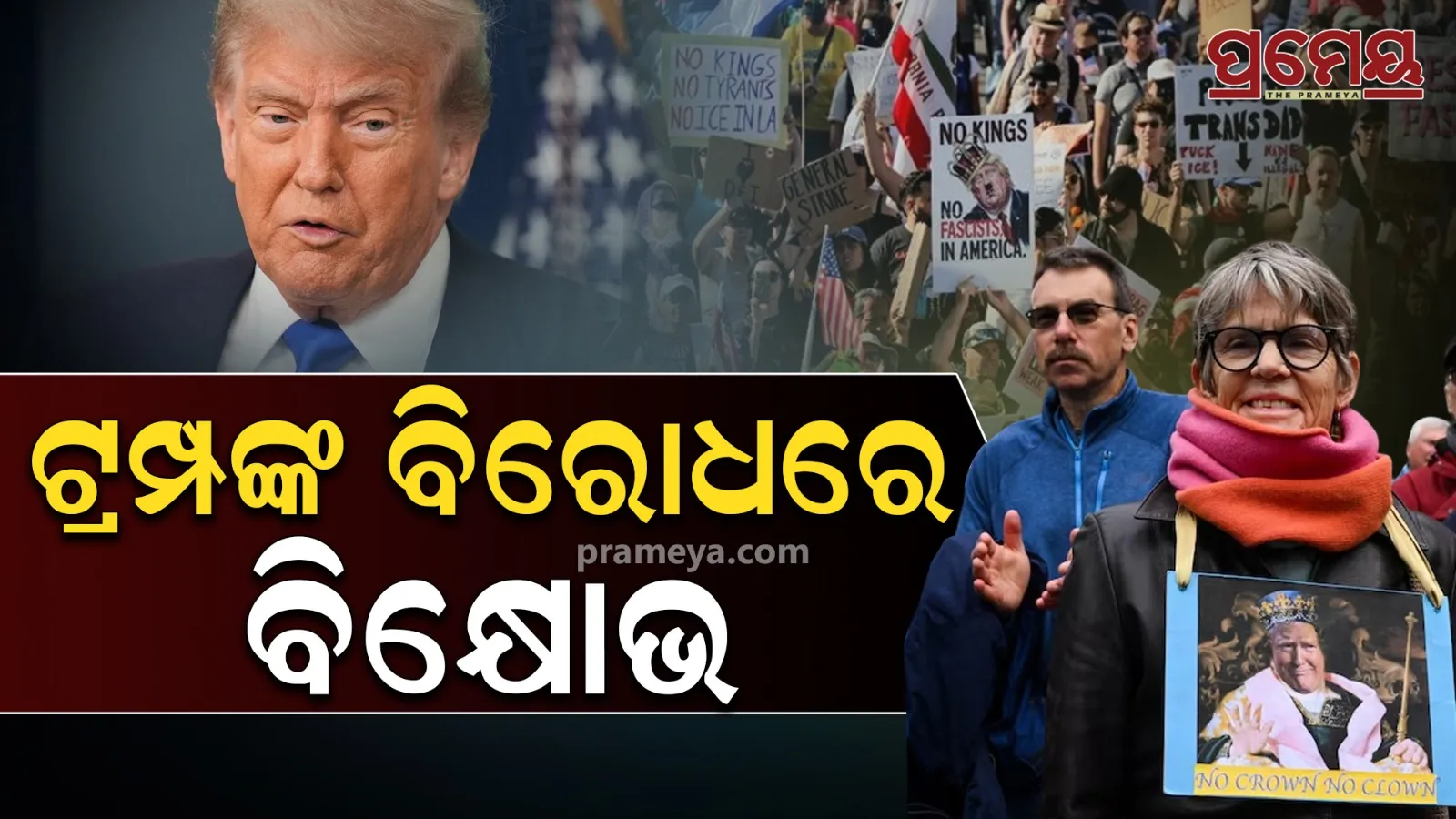 Protest against Trump, Protest in us