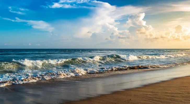  sea