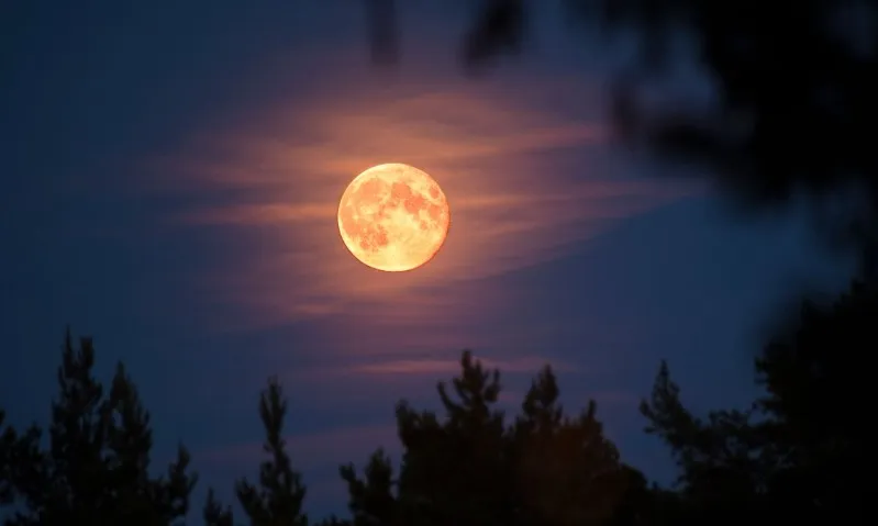 moon