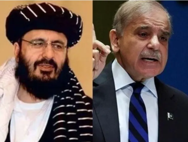   Taliban