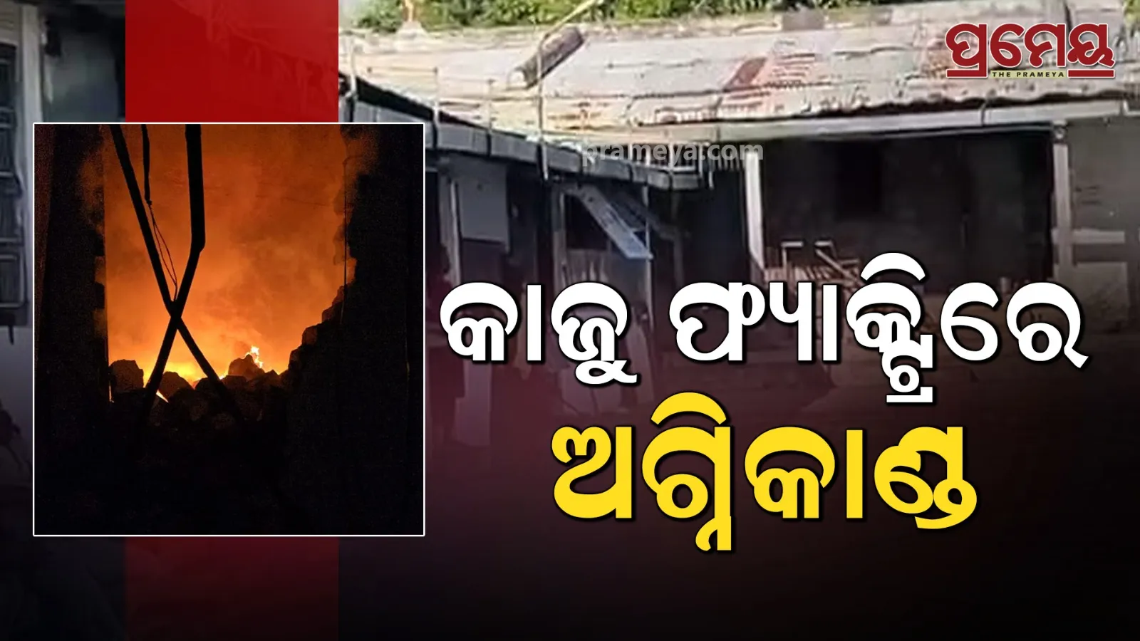 Cashew Factory Blaze: ₹50L Loss, Owner Injured