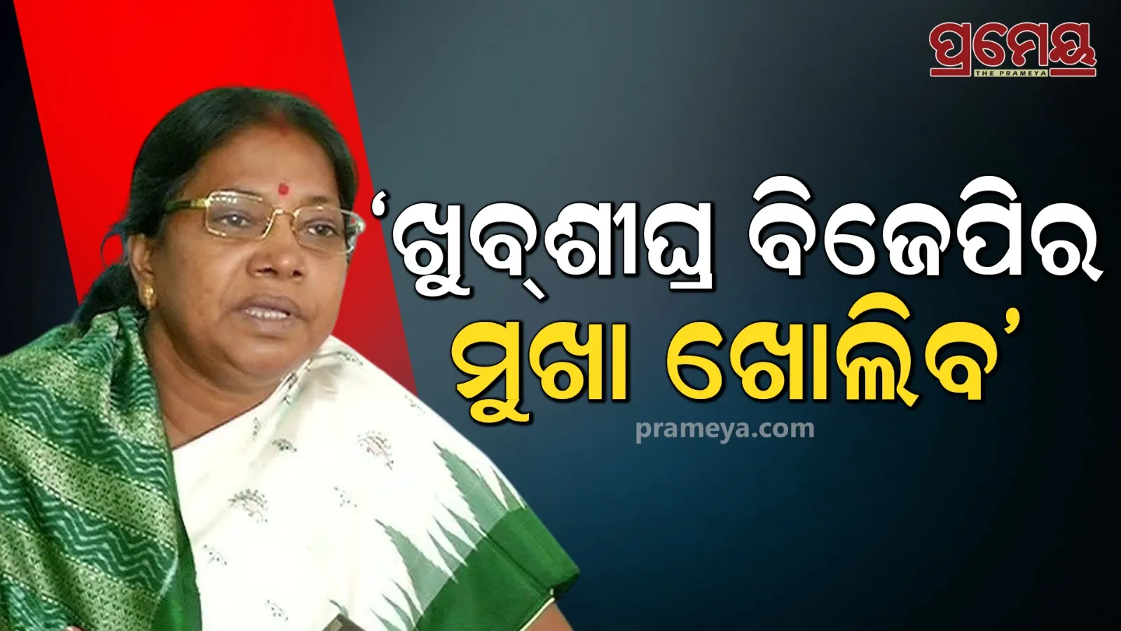 Pitabasa Panda Murder: BJP Conspiracy Alleged