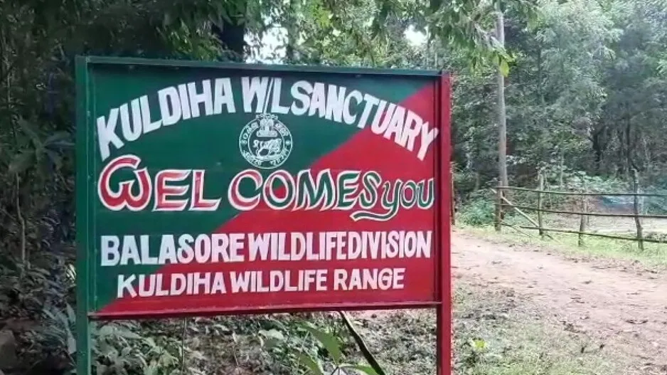 Kuldiha Sanctuary