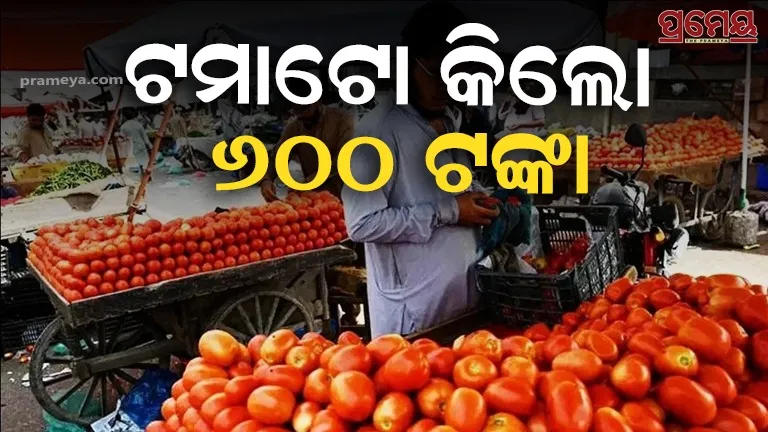 Tomatoes in Pakistan 