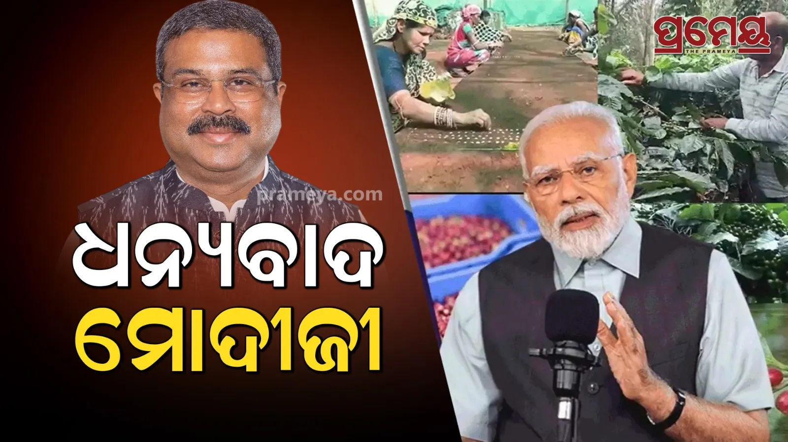 Dharmendra Pradhan Gratitude