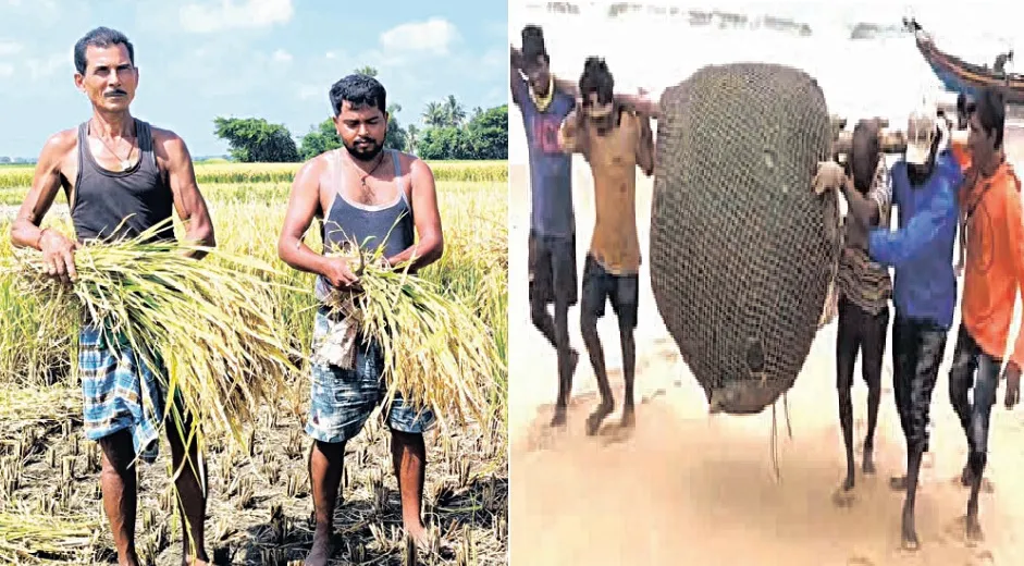 farmer