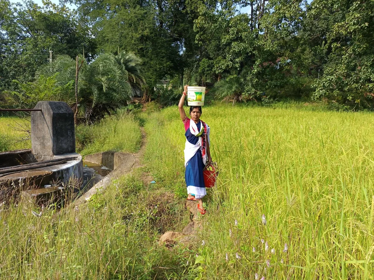 aganwadi 