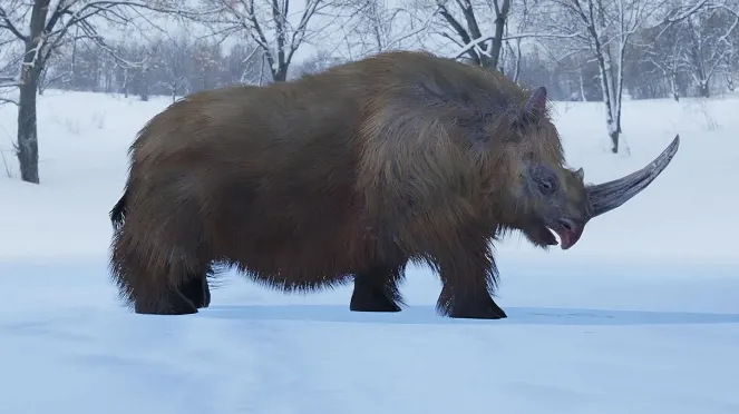 World's longest hairy rhinoceros horn found under ice