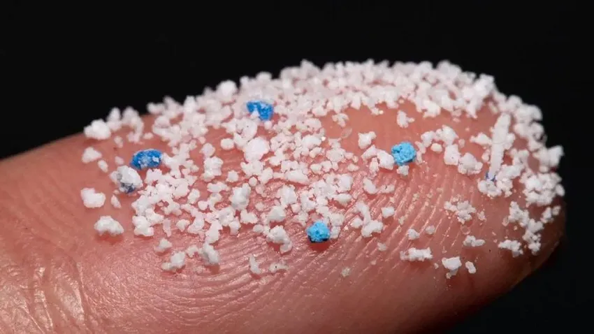 micro plastic