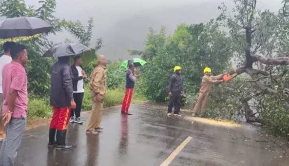 Cyclone Montha Wreaks Havoc in Mohana