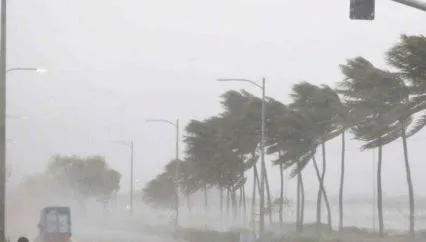 Health Department extensive preparations to deal with the cyclone