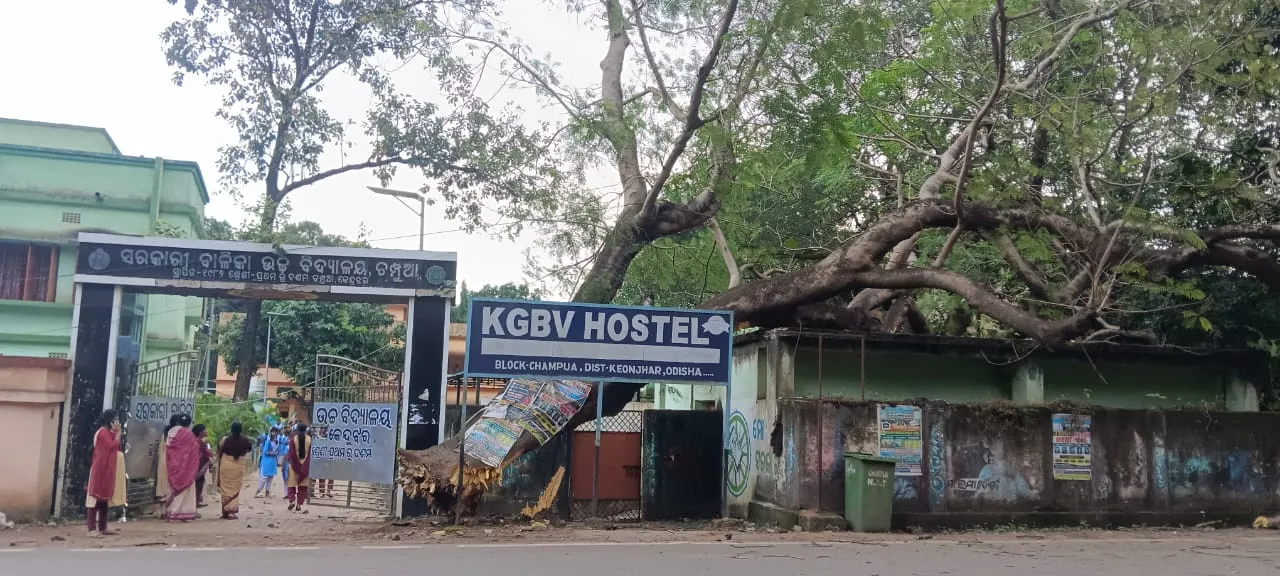 Trees Fall down on the school