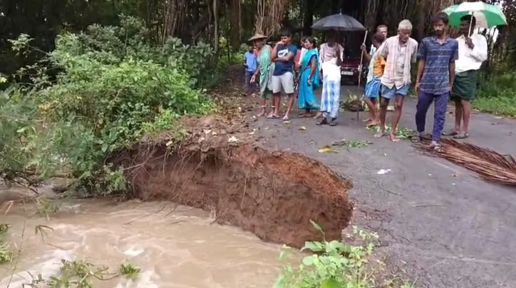 Tree falls on Kharsanda