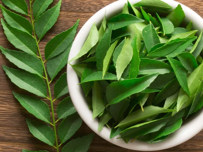 7-amazing-health-benefits-of-eating-curry-leaves-on-an-empty-stomach