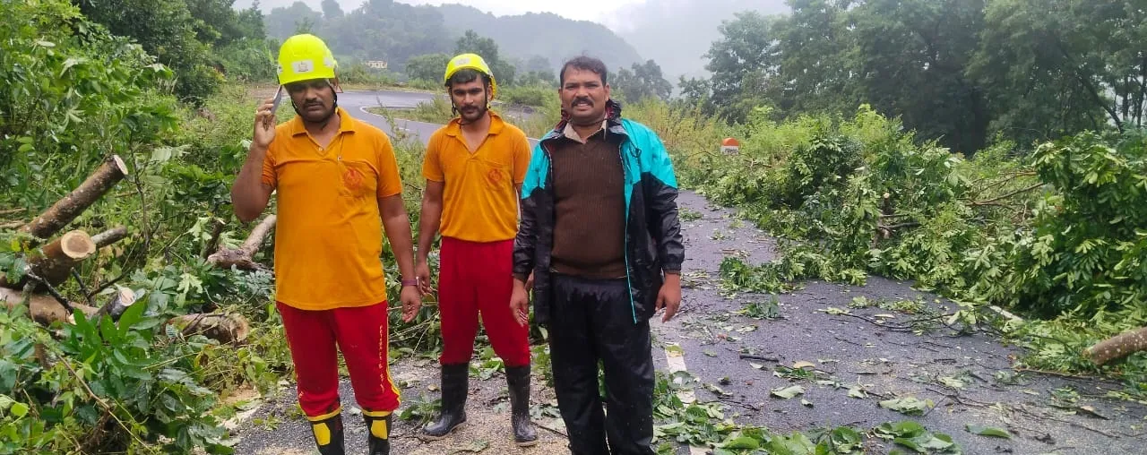 tree-fall-down-on-the-road-in-gajapati-dist-gumma-area