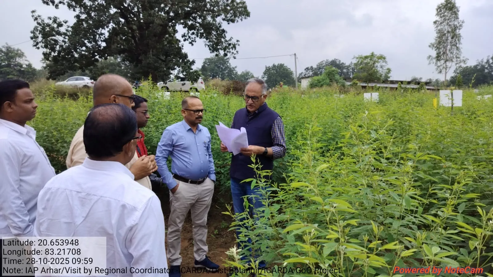  dal seed production