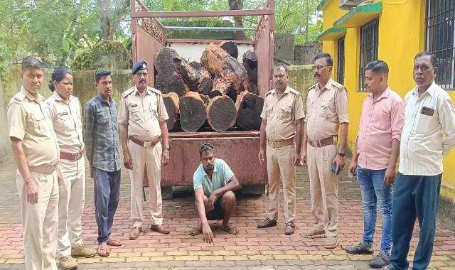 Forest department caught  Wood Mafia in Bolangir 