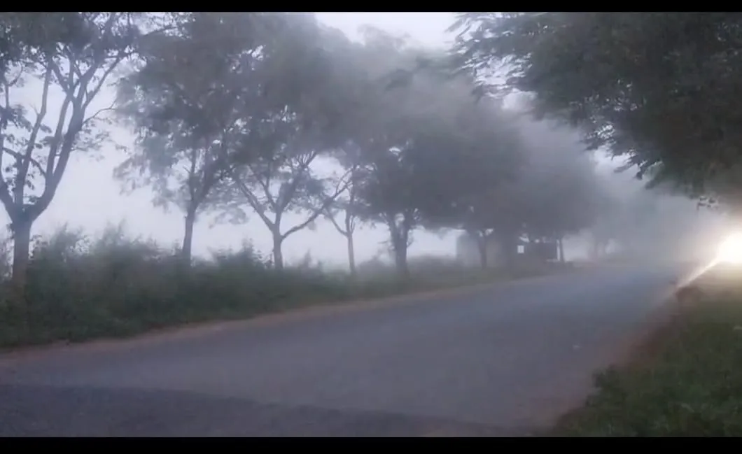 fog