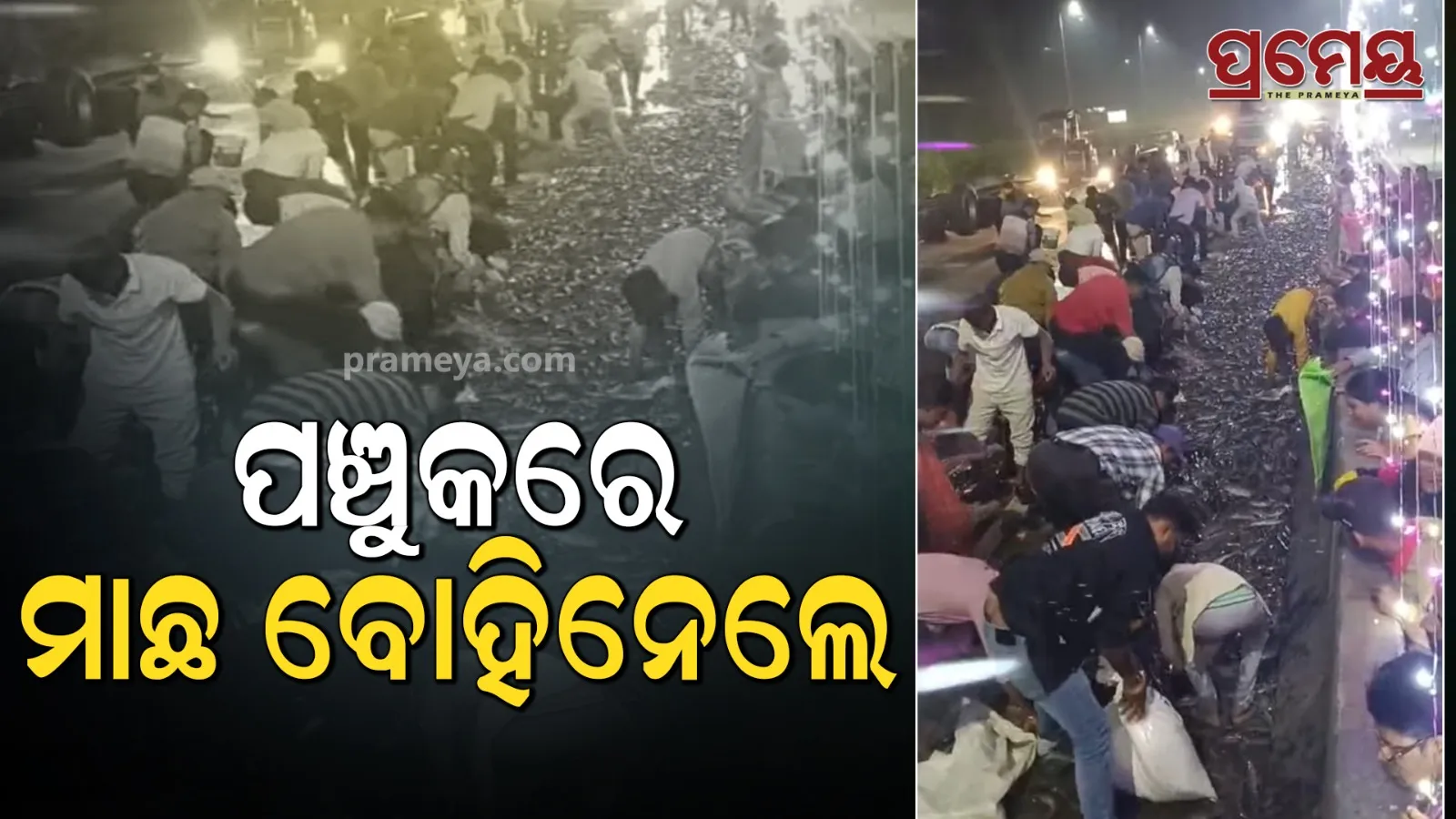 people-take-fish-in-baripada-mayurbhaj