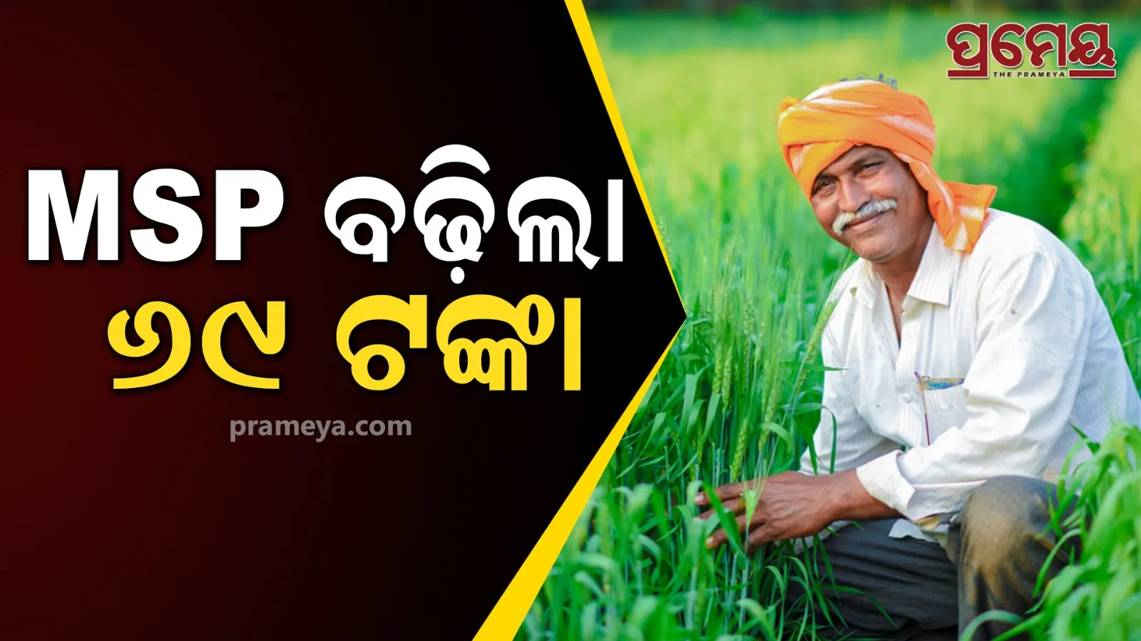 farmers-will-get-rs-69-more-per-quintal-of-paddy-in-the-current-kharif-season