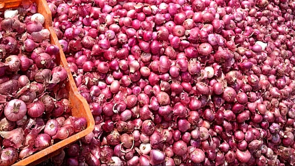onion