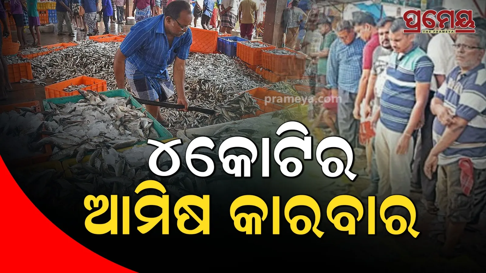 1000-quintals-of-fish-sold-out-in-bhubaneswar-for-chhadakhai