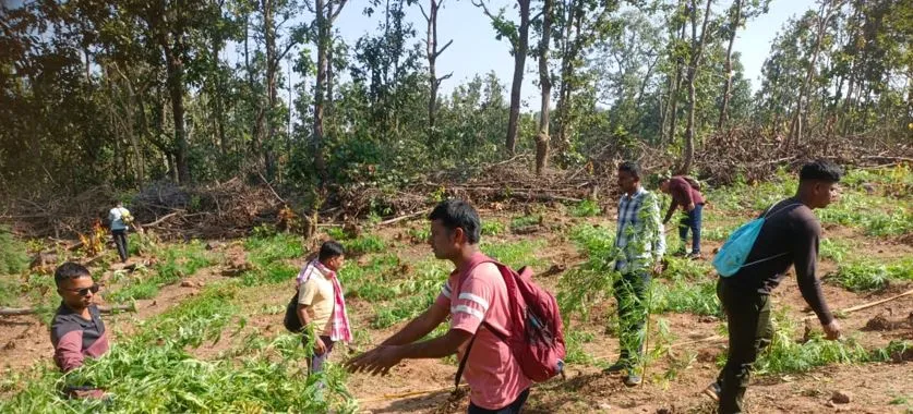 campaign begins in Phiringia