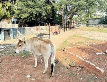 bhubaneswar 