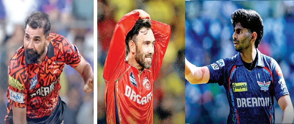ipl  