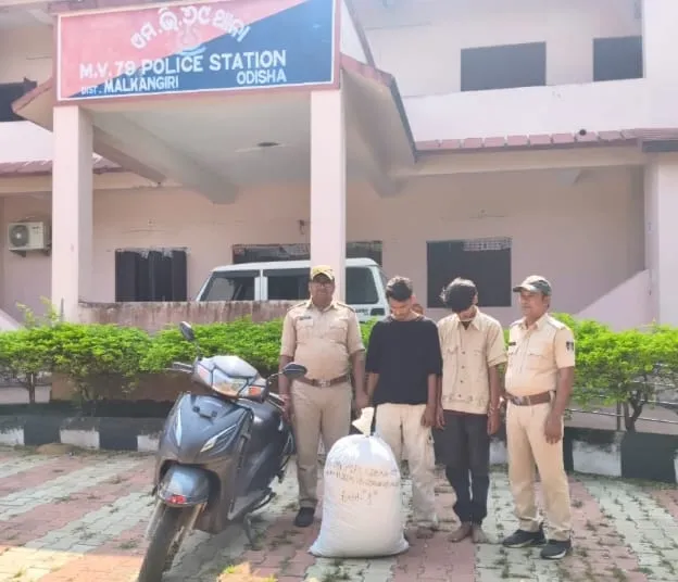 Two youths smuggled ganja  
