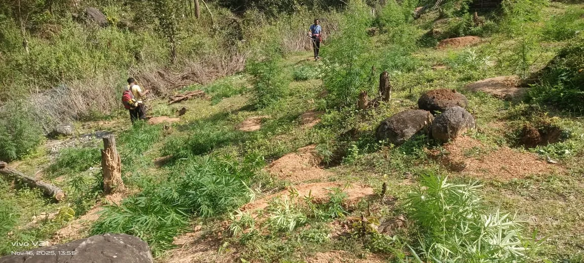 13 acres of land