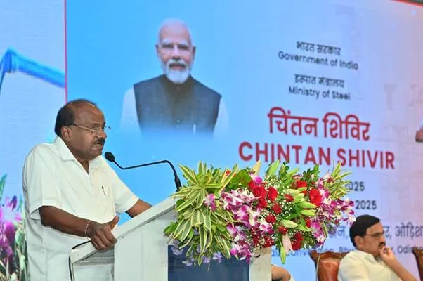 Indias domestic steel industry