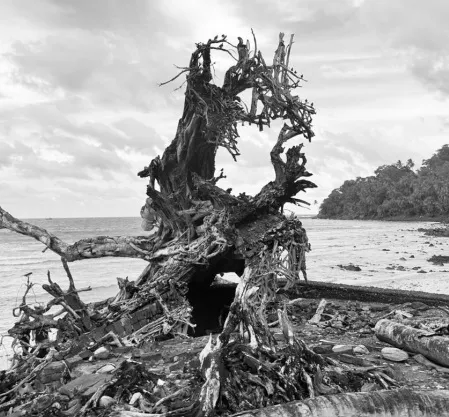Ross Island