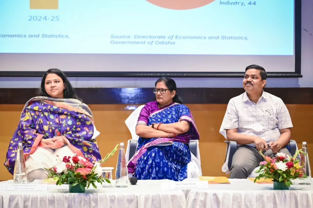 Developed Odisha Workshop  