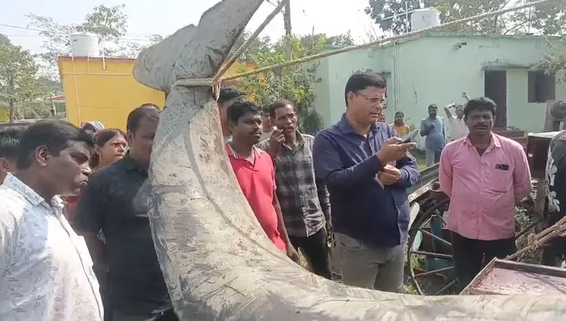bhadrak