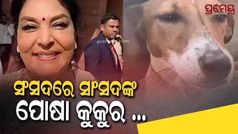 MP Enters Parliament With Pet Dog, BJP Slams Move
